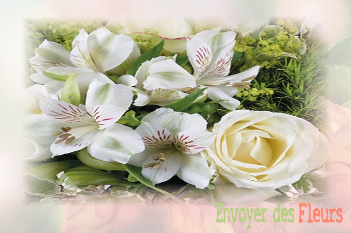 envoyer des fleurs à à SAVIGNAC-DE-L-ISLE